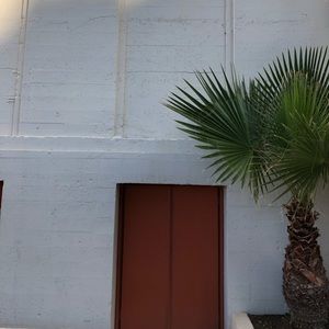 Meet your Posher, Mia